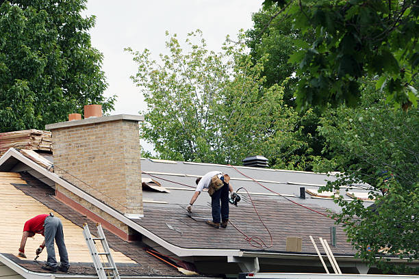 Best Roof Gutter Cleaning  in Winchester, IL