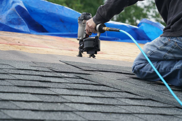 Best Roof Repair Services  in Winchester, IL