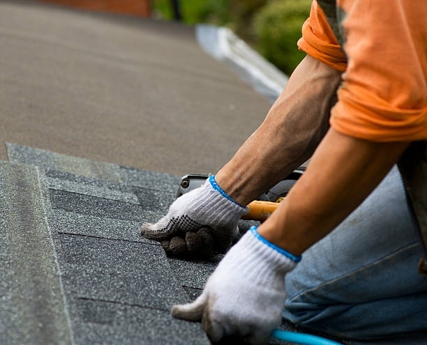 Best Gutter Installation and Roofing  in Winchester, IL