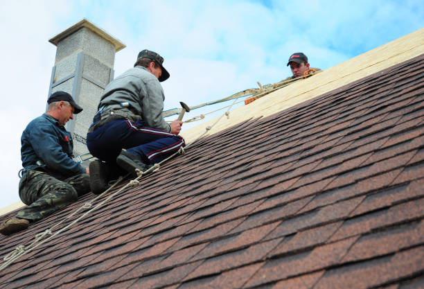 Roof Installation Near Me in Winchester, IL